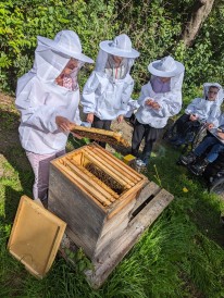 Eine Gruppe von Schüler*innen vor einem geöffneten Bienenstock.