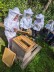 Man sieht eine Gruppe von Schüler*innen, die vor einem geöffneten Bienenstock stehen.
